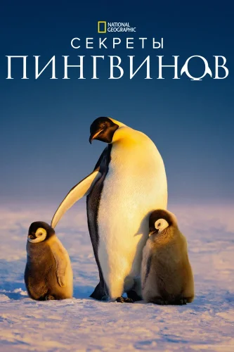 Секреты пингвинов смотреть онлайн